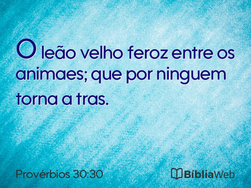 Provérbios 30:30 em imagem para compartilhar