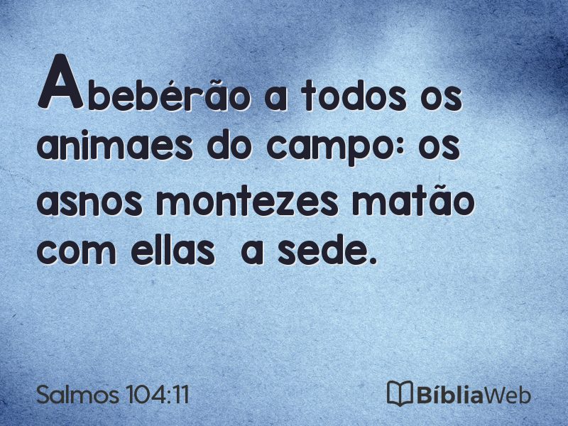 Salmos 104:11 em imagem para compartilhar