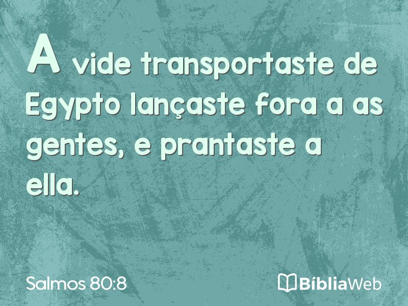 Salmos 80:8 em imagem para compartilhar