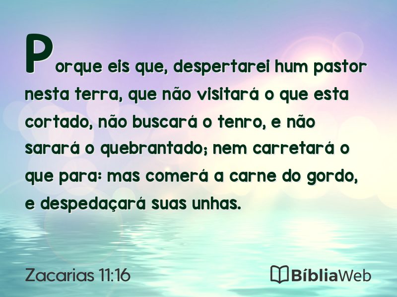 Zacarias 11:16 em imagem para compartilhar