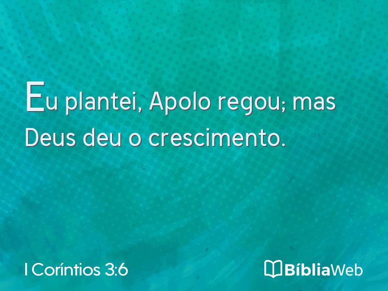 I Coríntios 3:6 em imagem para compartilhar
