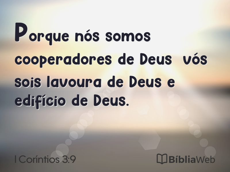 I Coríntios 3:9 em imagem para compartilhar