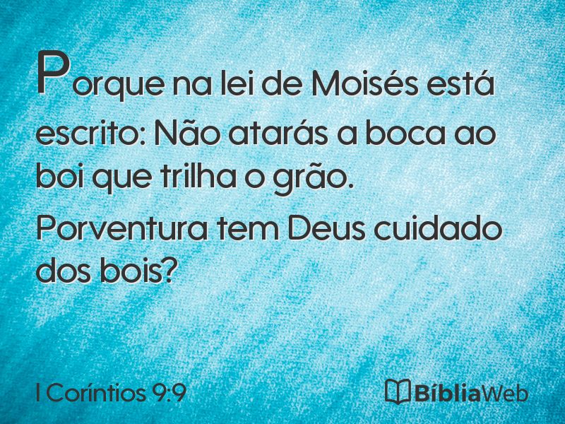I Coríntios 9:9 em imagem para compartilhar