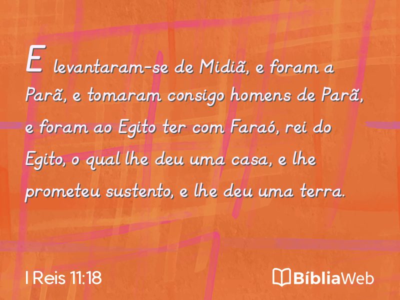 I Reis 11:18 em imagem para compartilhar