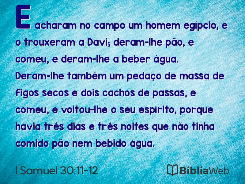 I Samuel 30:11-12 em imagem para compartilhar