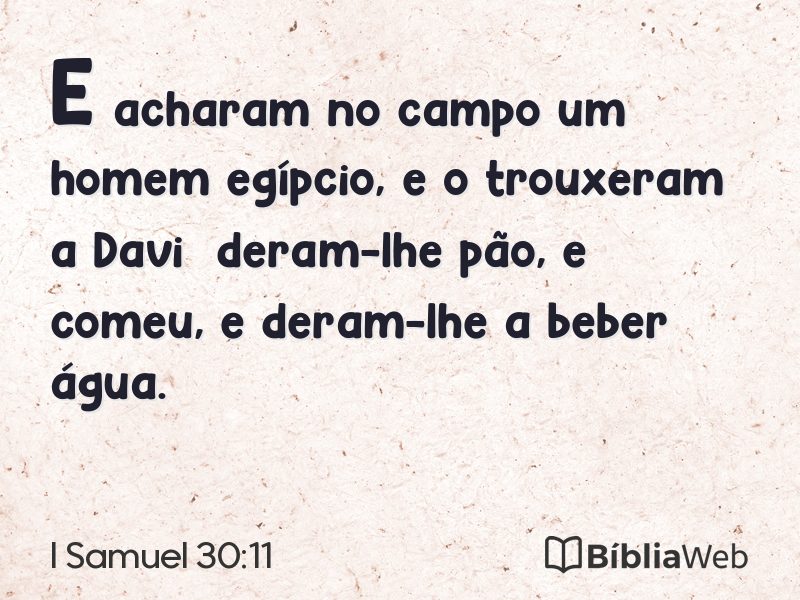 I Samuel 30:11 em imagem para compartilhar