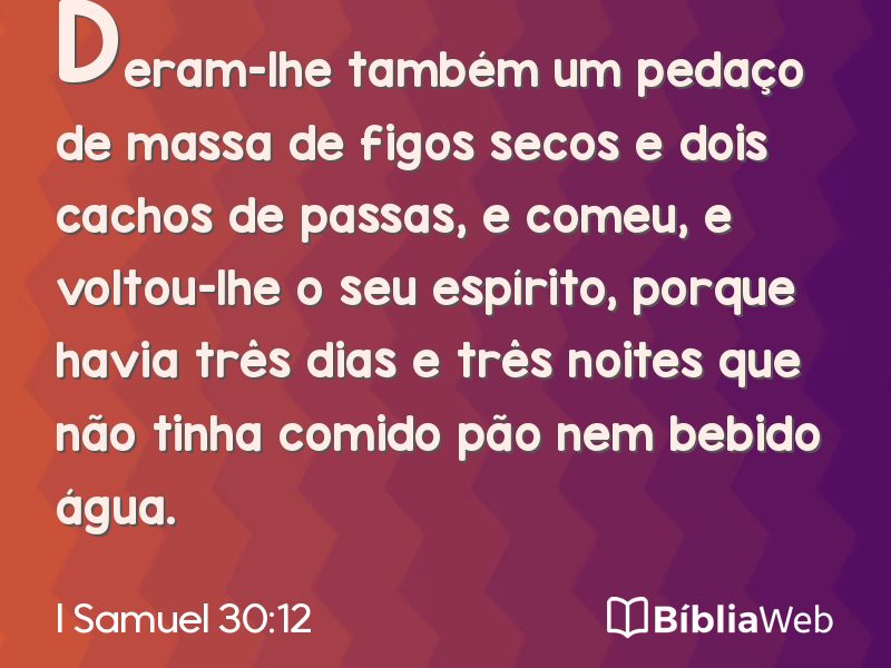 I Samuel 30:12 em imagem para compartilhar
