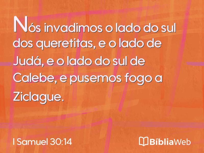 I Samuel 30:14 em imagem para compartilhar