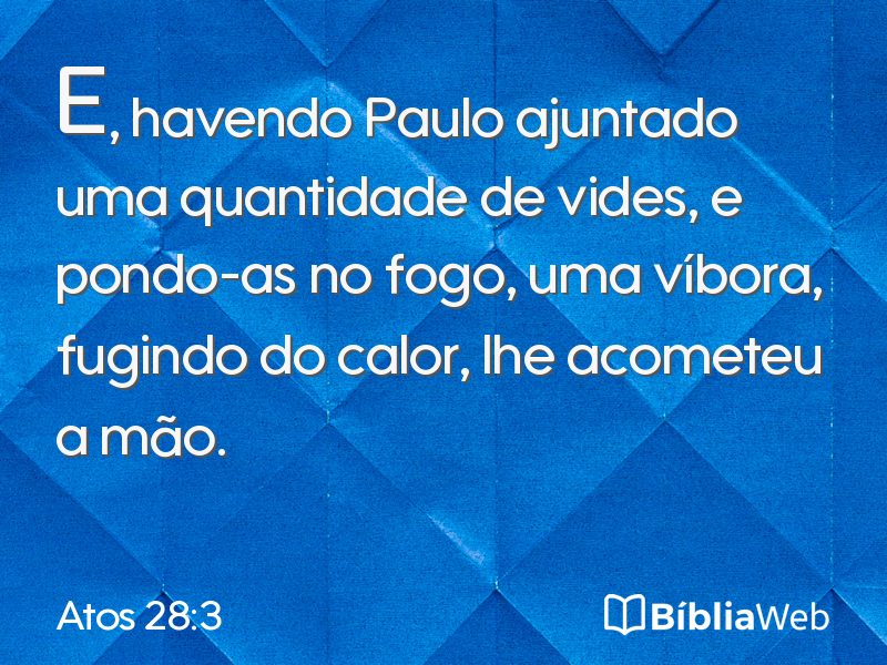 Atos 28:3 em imagem para compartilhar