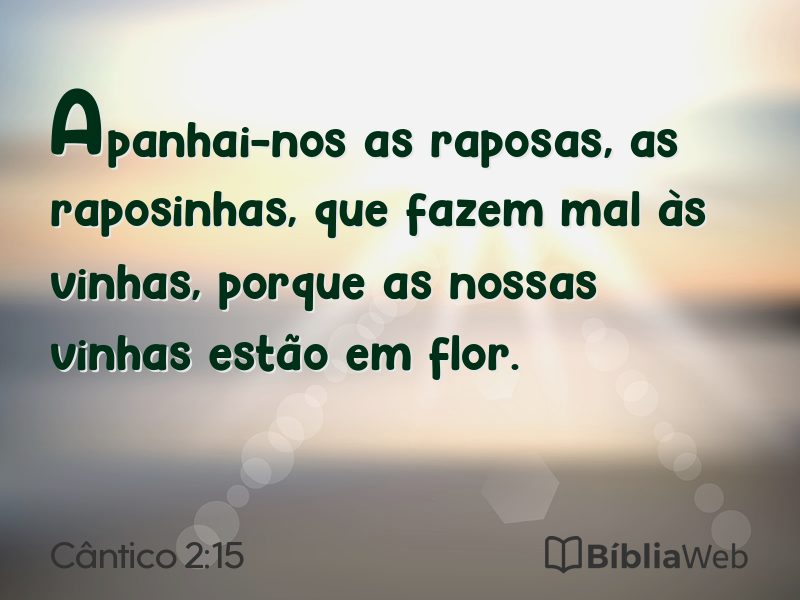 Cântico 2:15 em imagem para compartilhar