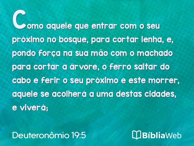 Deuteronômio 19:5 em imagem para compartilhar
