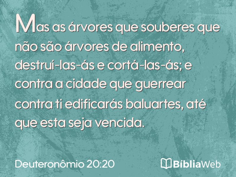 Deuteronômio 20:20 em imagem para compartilhar