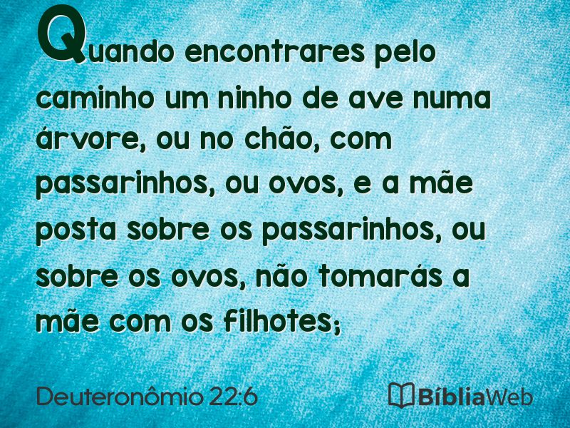 Deuteronômio 22:6 em imagem para compartilhar