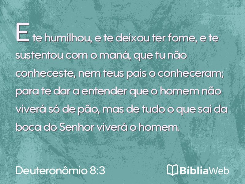 Deuteronômio 8:3 em imagem para compartilhar