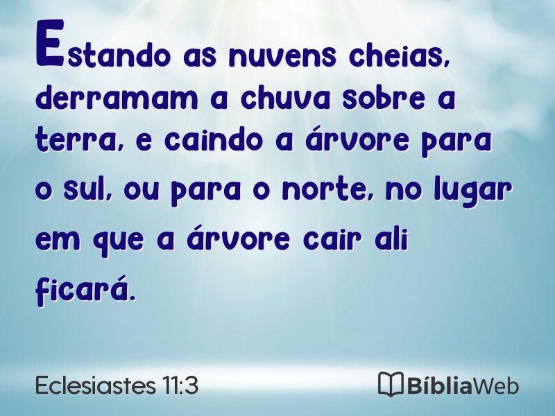 Eclesiastes 11:3 em imagem para compartilhar