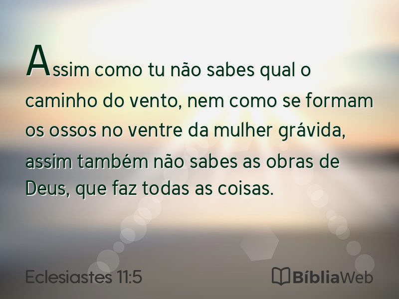 Eclesiastes 11:5 em imagem para compartilhar