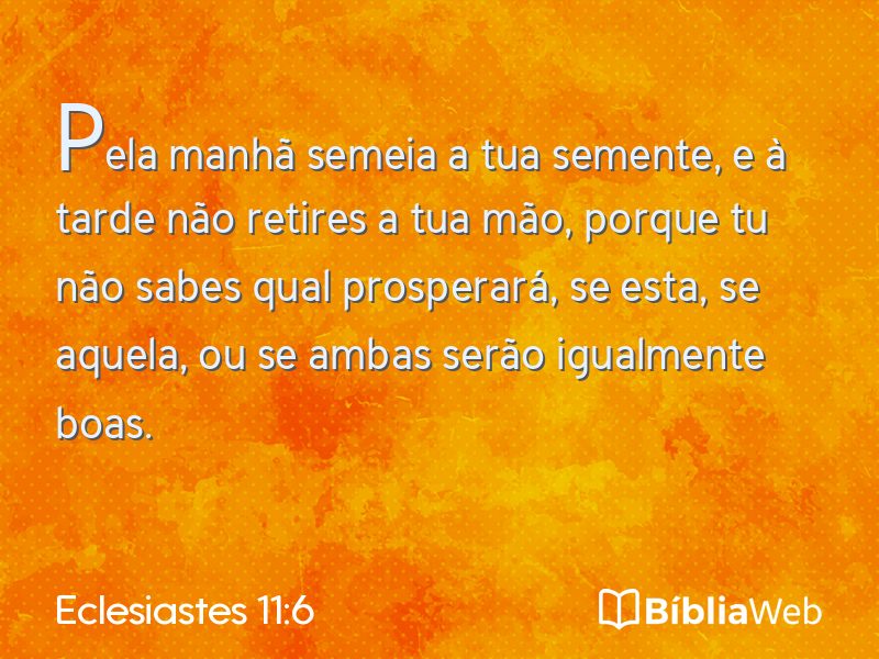 Eclesiastes 11:6 em imagem para compartilhar