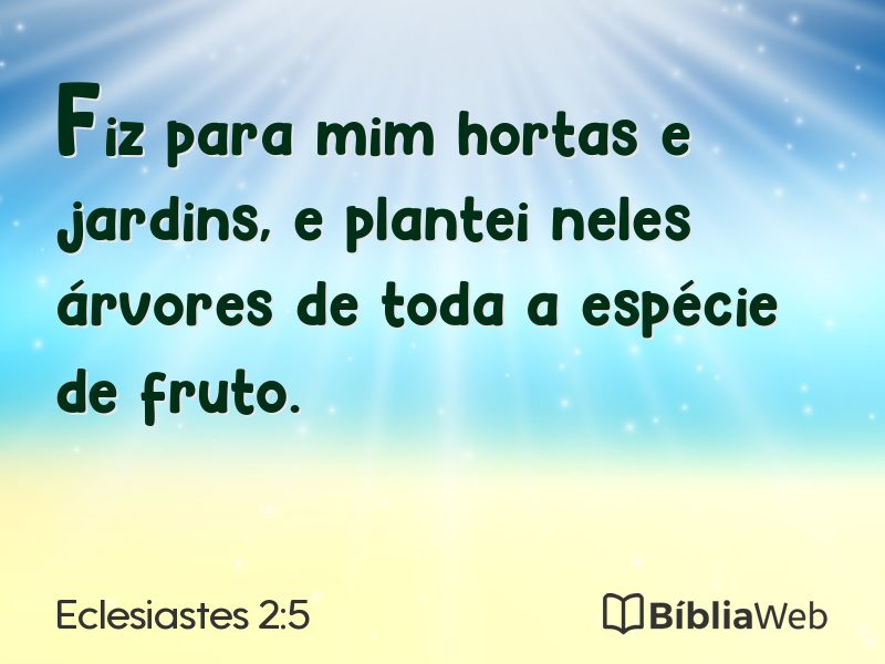 Eclesiastes 2:5 em imagem para compartilhar