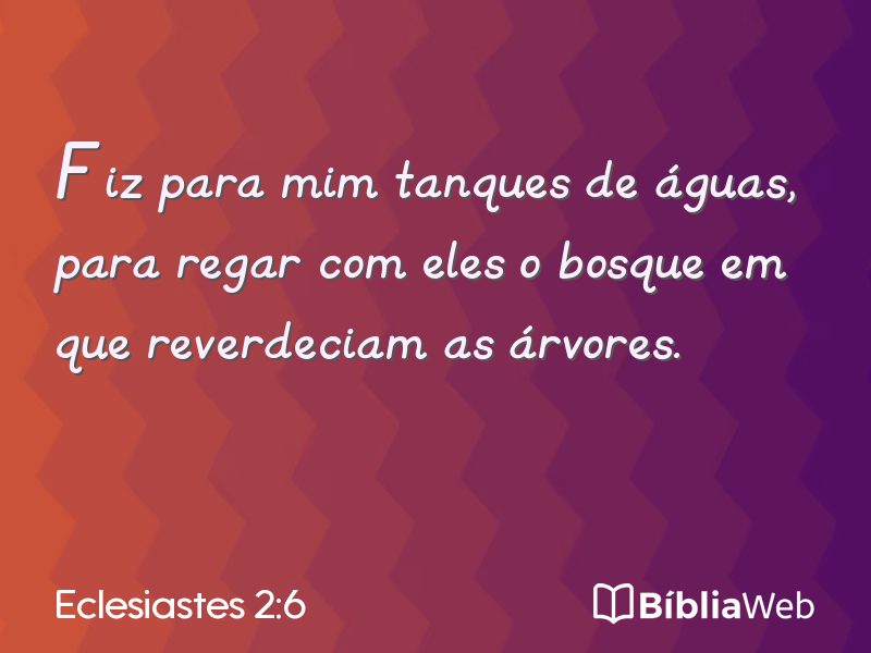 Eclesiastes 2:6 em imagem para compartilhar