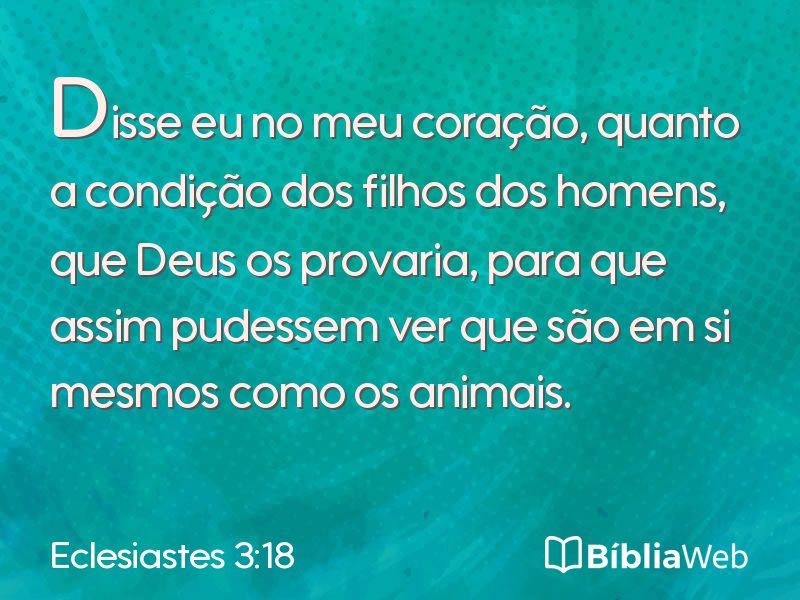 Eclesiastes 3:18 em imagem para compartilhar