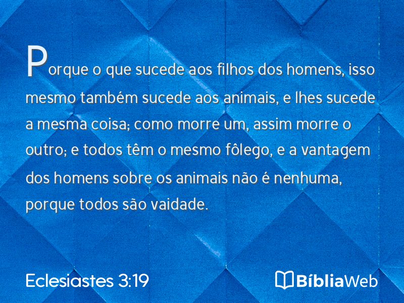 Eclesiastes 3:19 em imagem para compartilhar