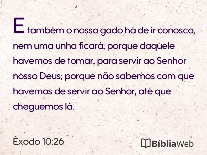 Êxodo 10:26 em imagem para compartilhar