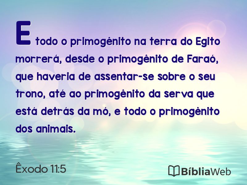 Êxodo 11:5 em imagem para compartilhar
