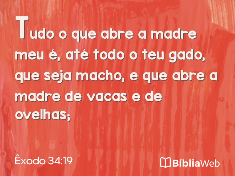 Êxodo 34:19 em imagem para compartilhar