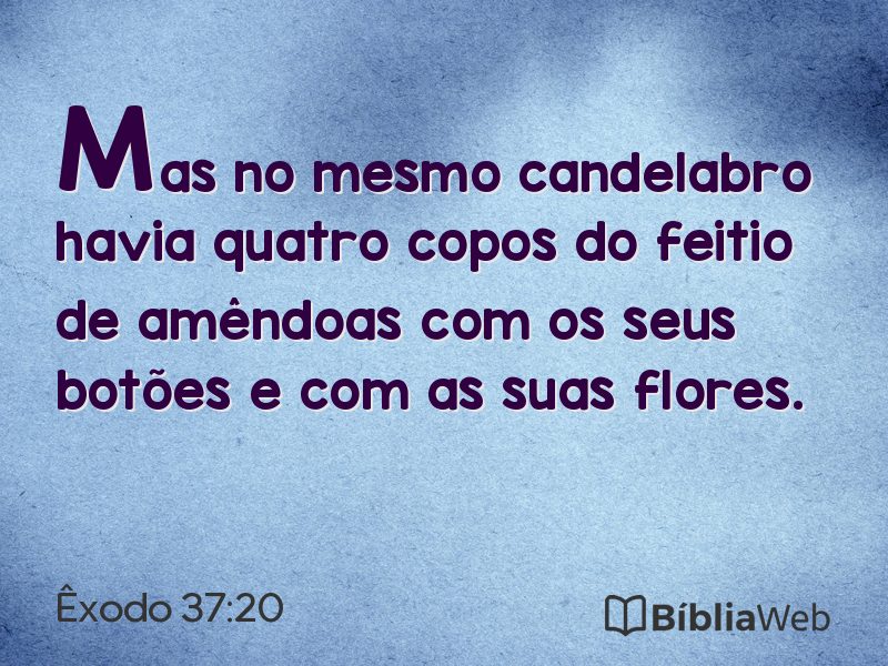 Êxodo 37:20 em imagem para compartilhar