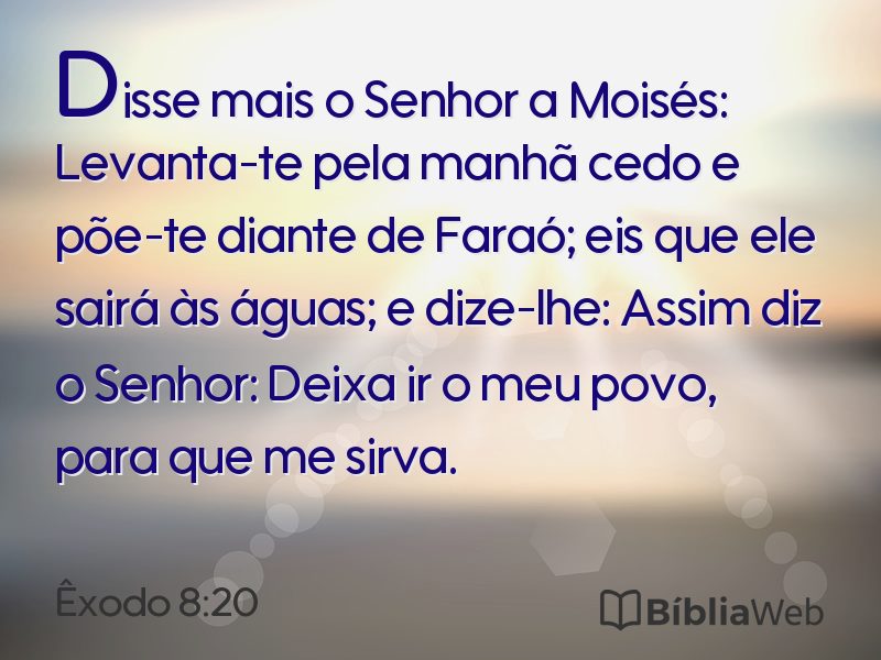 Êxodo 8:20 em imagem para compartilhar