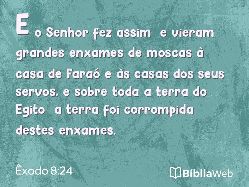 Êxodo 8:24 em imagem para compartilhar