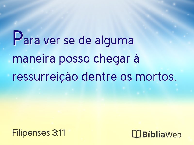 Filipenses 3:11 em imagem para compartilhar