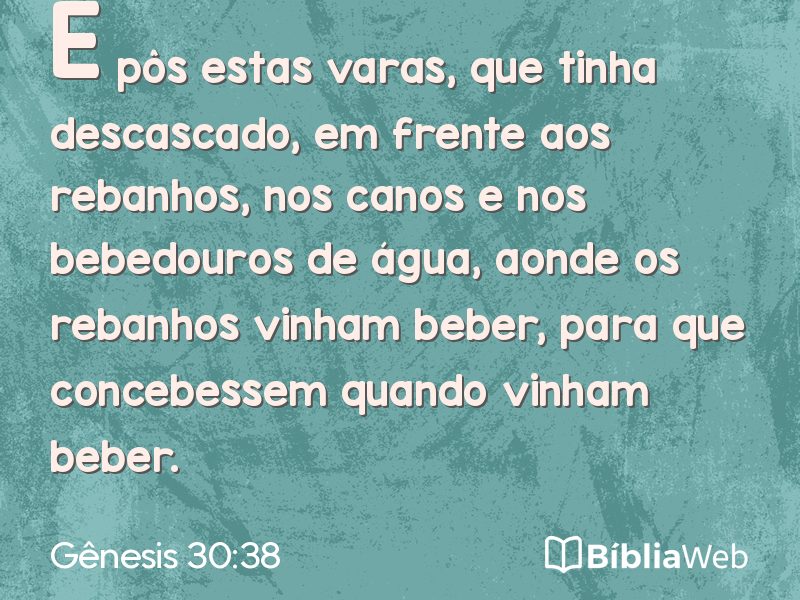 Gênesis 30:38 em imagem para compartilhar