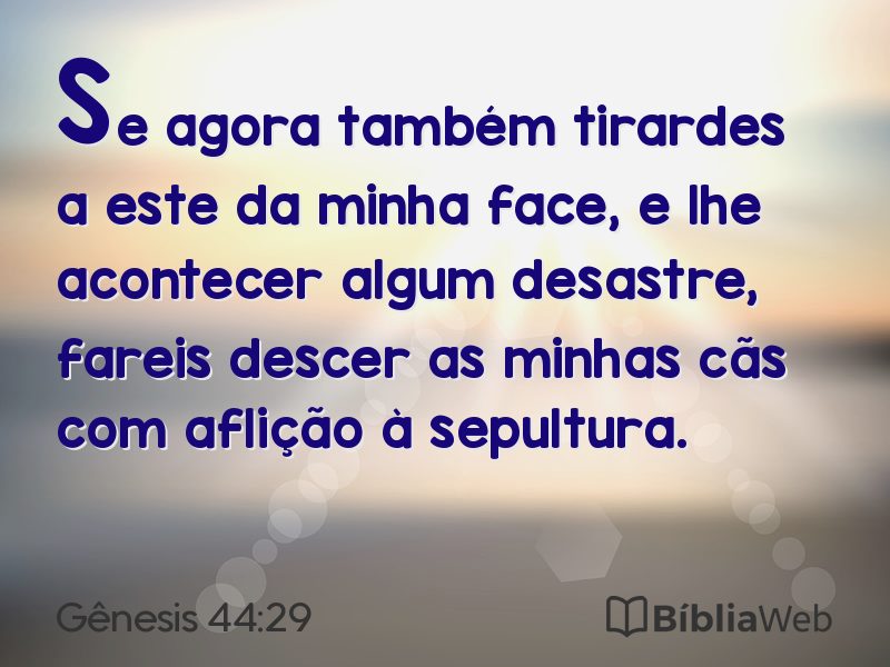 Gênesis 44:29 em imagem para compartilhar