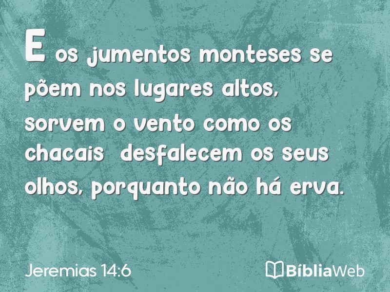Jeremias 14:6 em imagem para compartilhar
