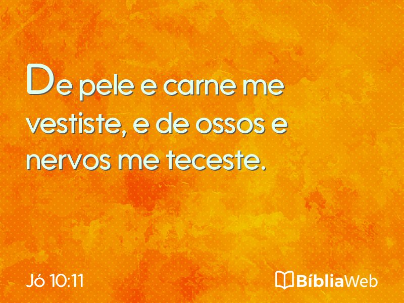 Jó 10:11 em imagem para compartilhar