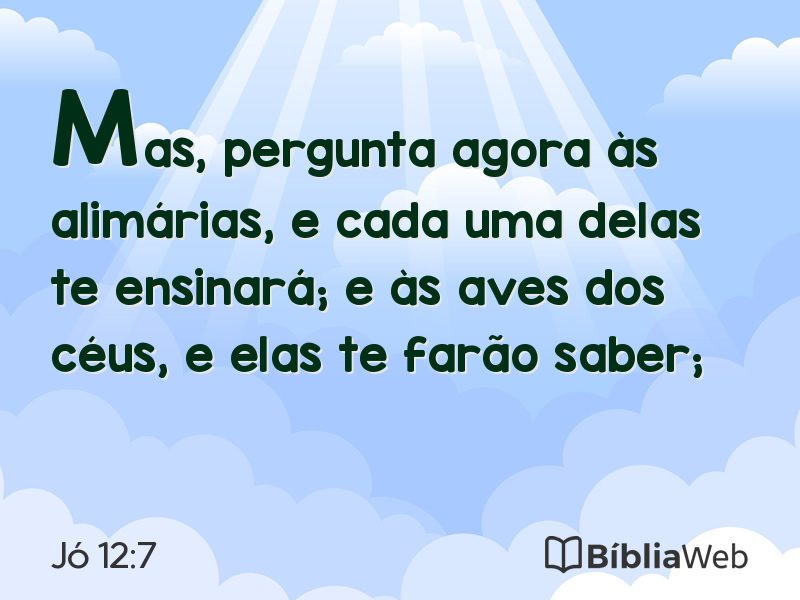 Jó 12:7 em imagem para compartilhar