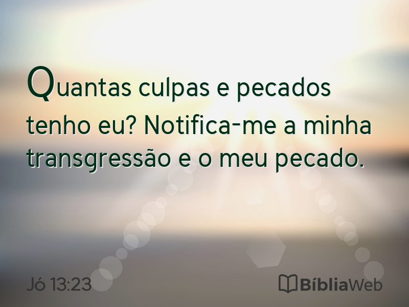 Jó 13:23 em imagem para compartilhar