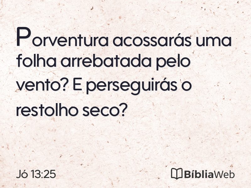 Jó 13:25 em imagem para compartilhar