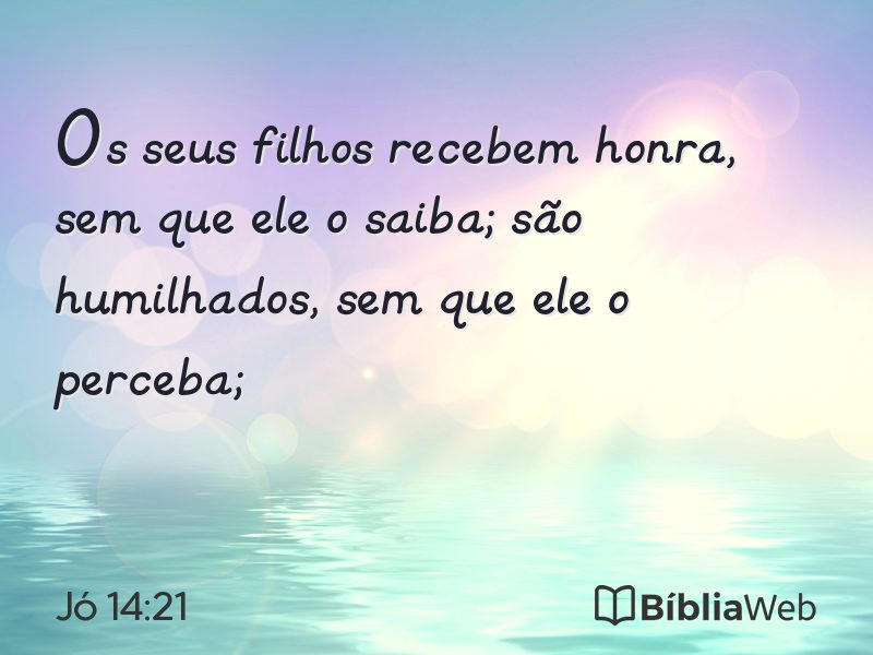 Jó 14:21 em imagem para compartilhar