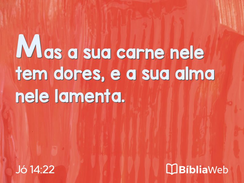 Jó 14:22 em imagem para compartilhar
