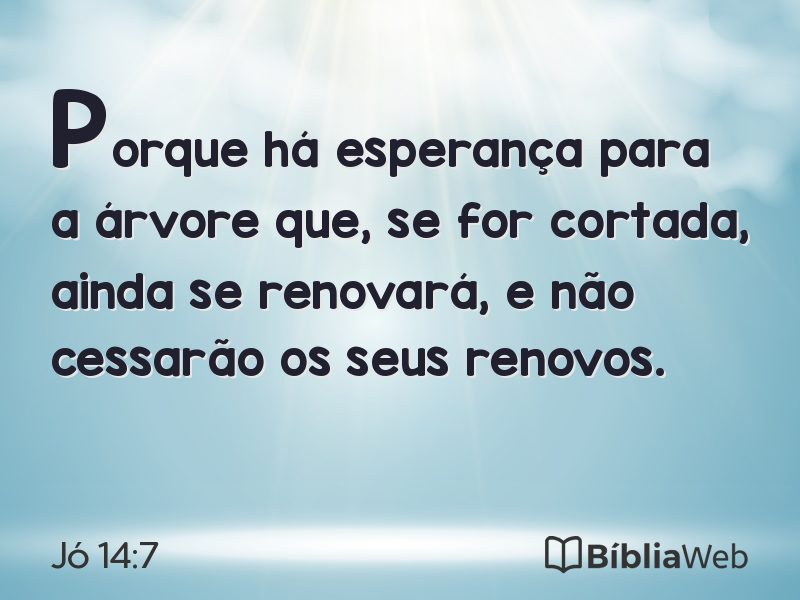 Jó 14:7 em imagem para compartilhar