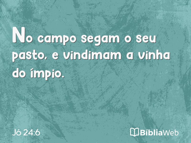 Jó 24:6 em imagem para compartilhar
