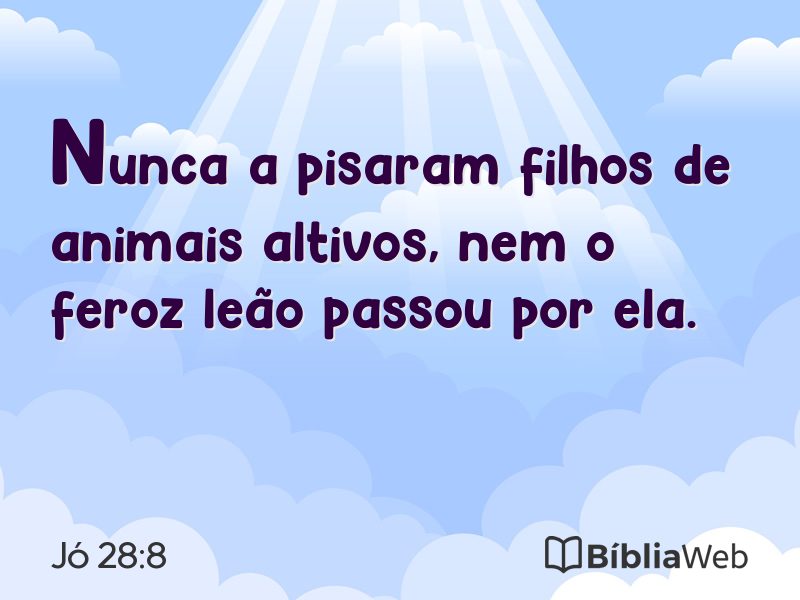 Jó 28:8 em imagem para compartilhar