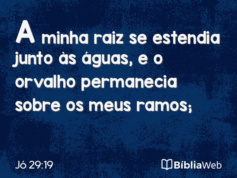 Jó 29:19 em imagem para compartilhar