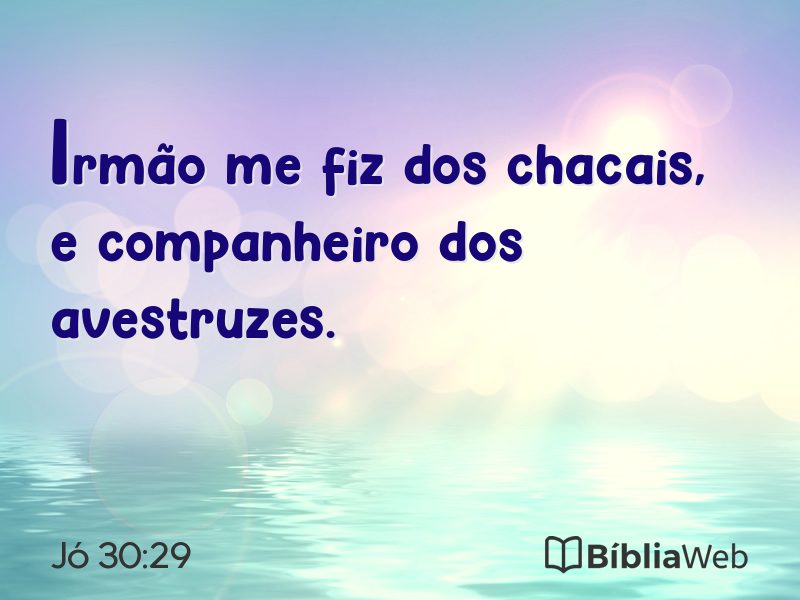 Jó 30:29 em imagem para compartilhar
