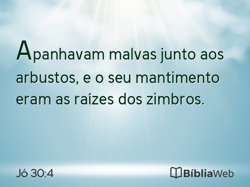 Jó 30:4 em imagem para compartilhar