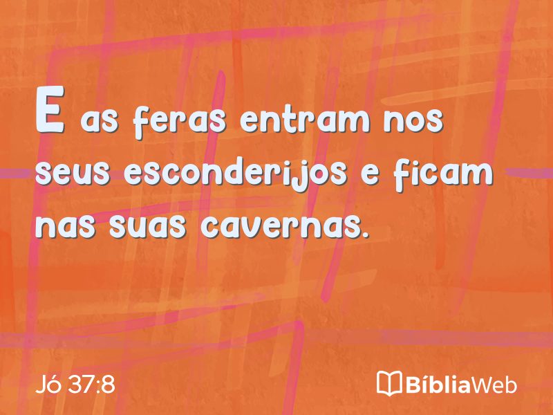 Jó 37:8 em imagem para compartilhar