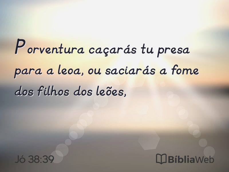 Jó 38:39 em imagem para compartilhar