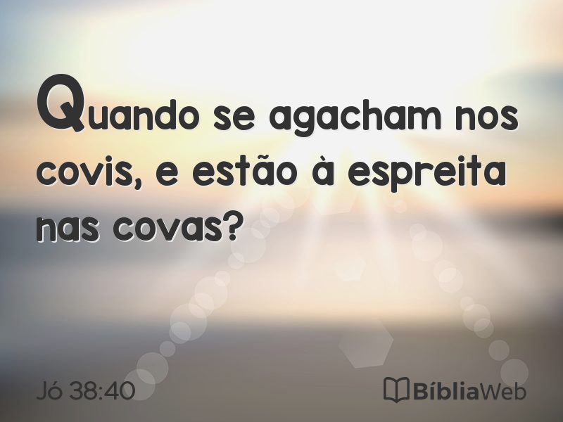 Jó 38:40 em imagem para compartilhar